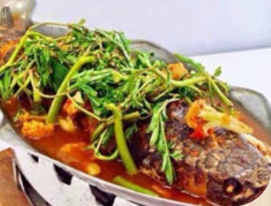 52.Steamed Fish with Water Mimosa