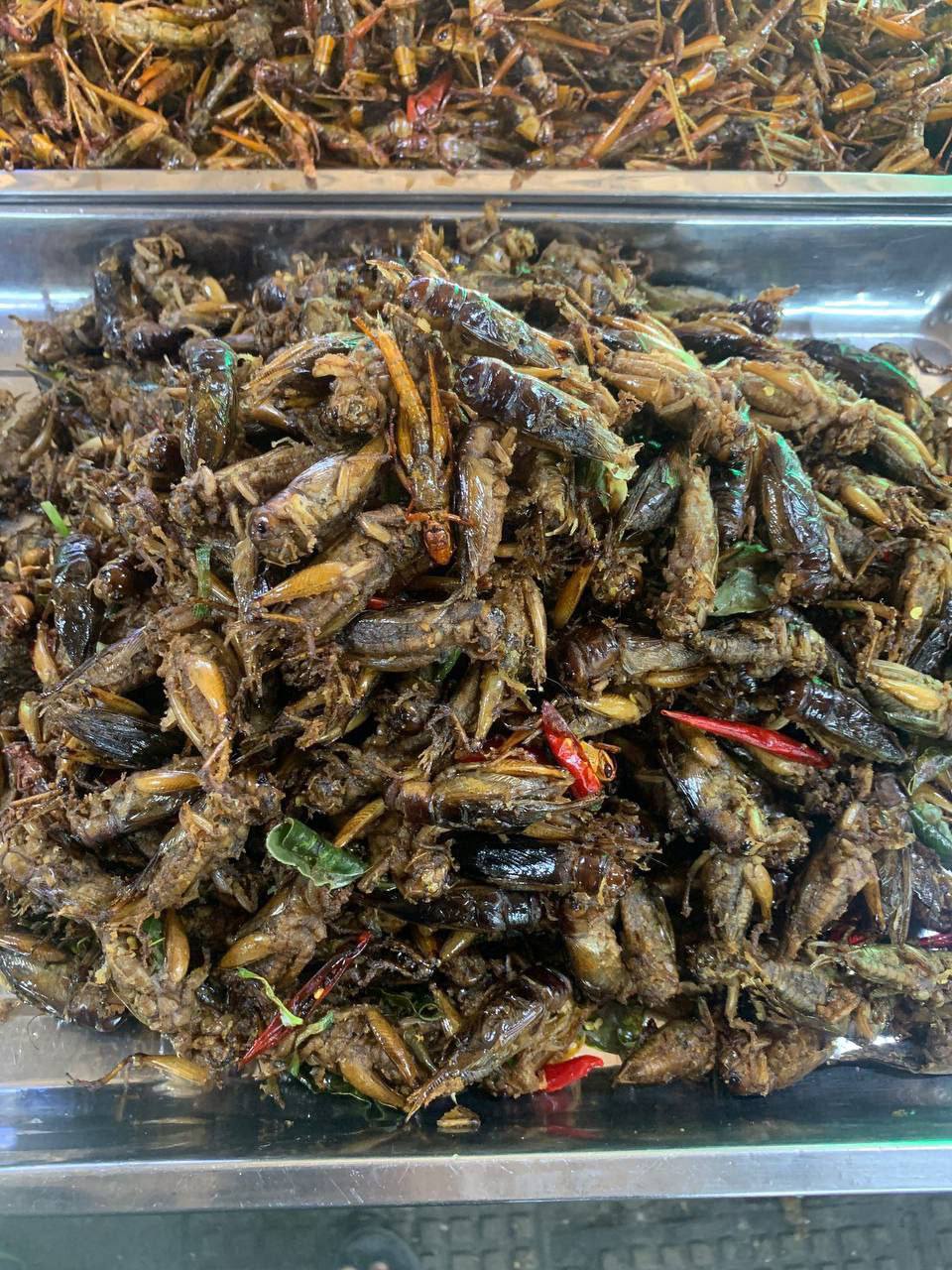 01. Fried Crickets​ Big(52 Crickets)