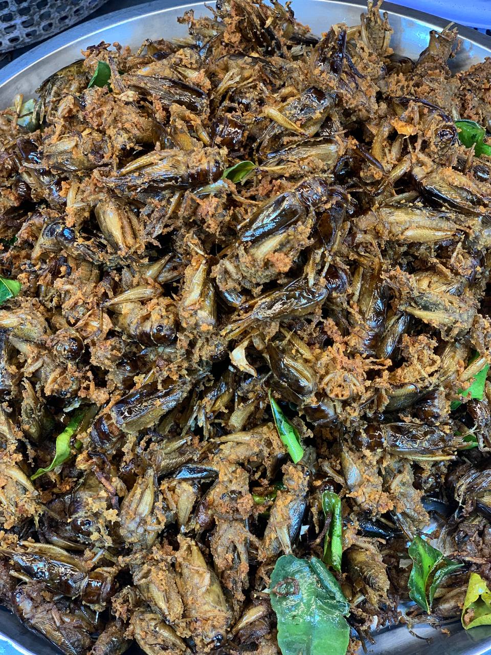 05. Fried Crickets Doung (1 can)