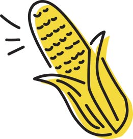 47.Sweet Corn (40g)