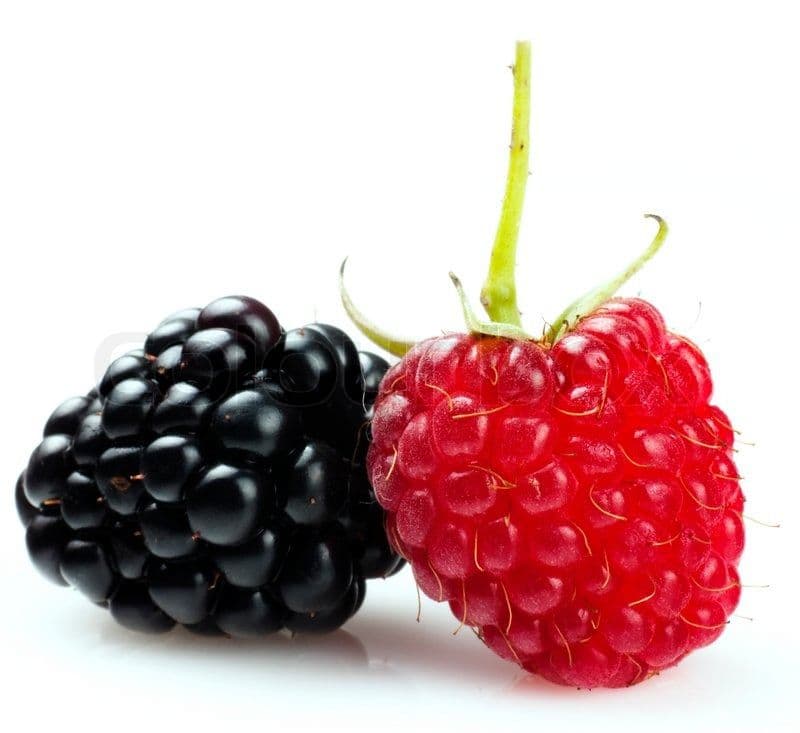 11.Berry Fruit/700g