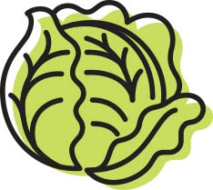 45.Cabbage (40g)