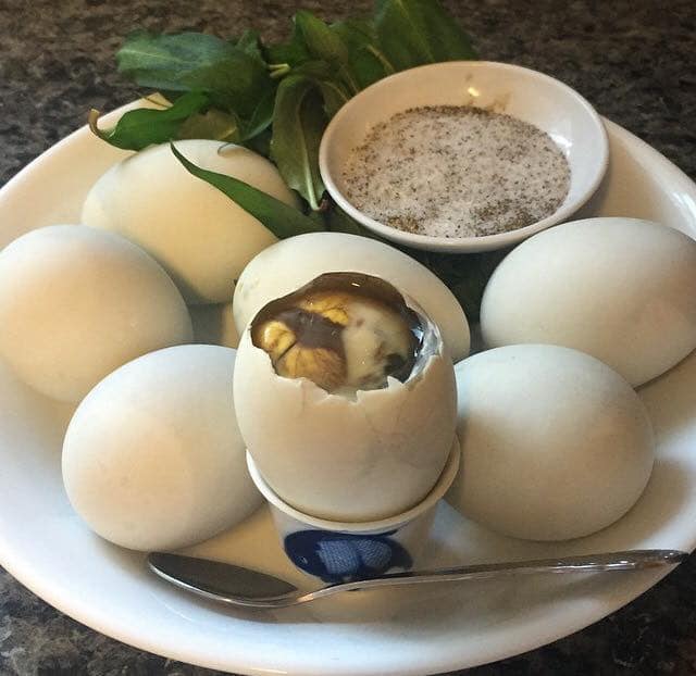 18.Baby Duck Egg (1 Egg)