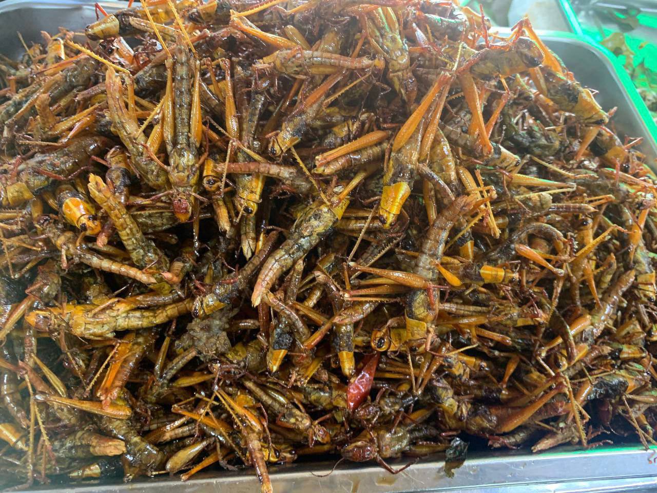 07. Fried Grasshopper (1 Bite)