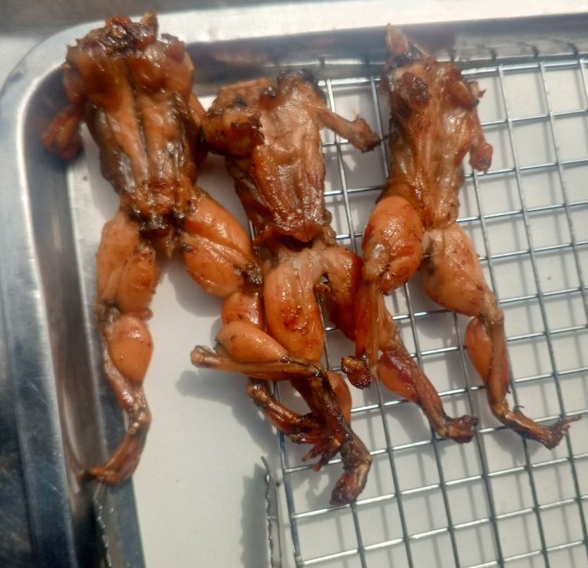 04.Roast Frog (1Pcs)