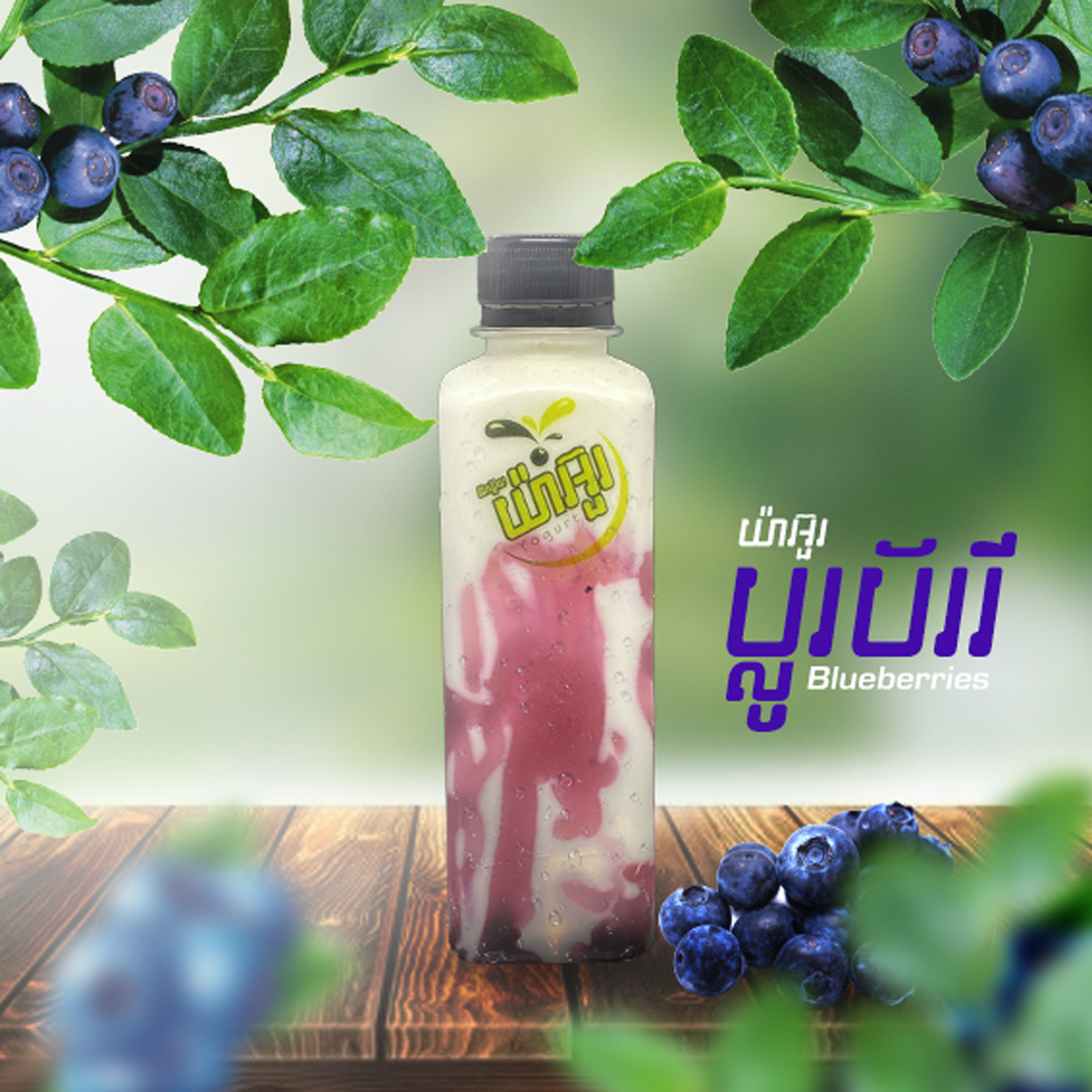 Y01-Blueberry Yogurt