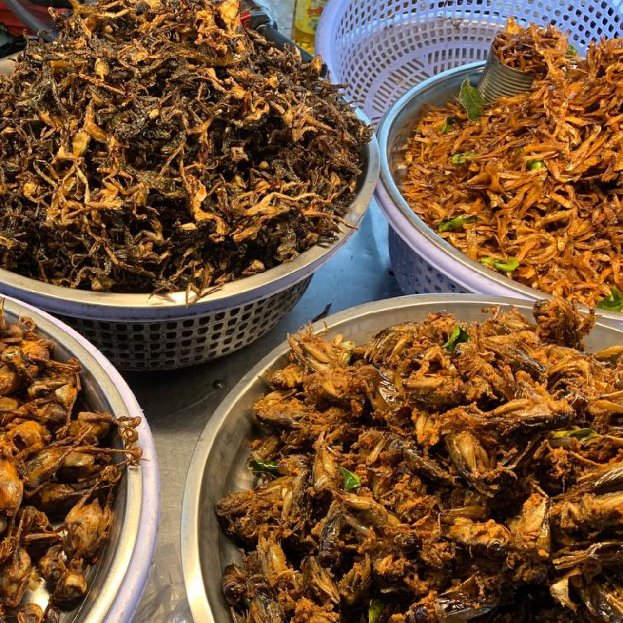 Ta Mab Fried Crickets Koh Pich C248