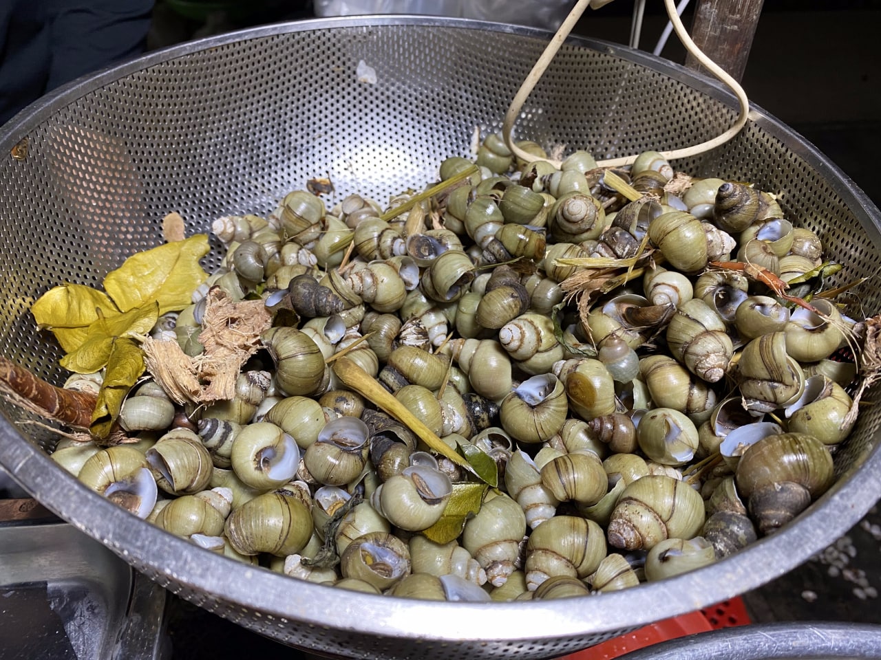 02.Boiled Snails