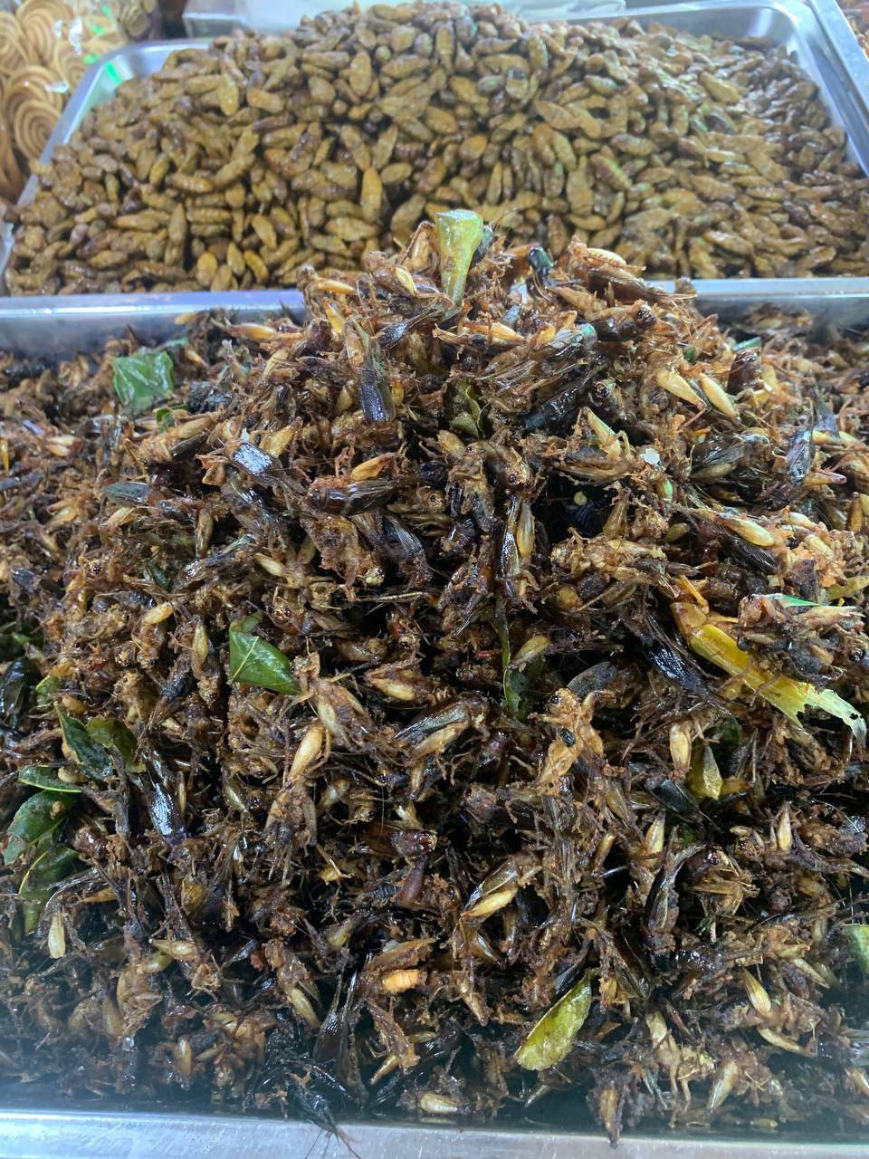 02. Fried Crickets​ Small(1 Can)