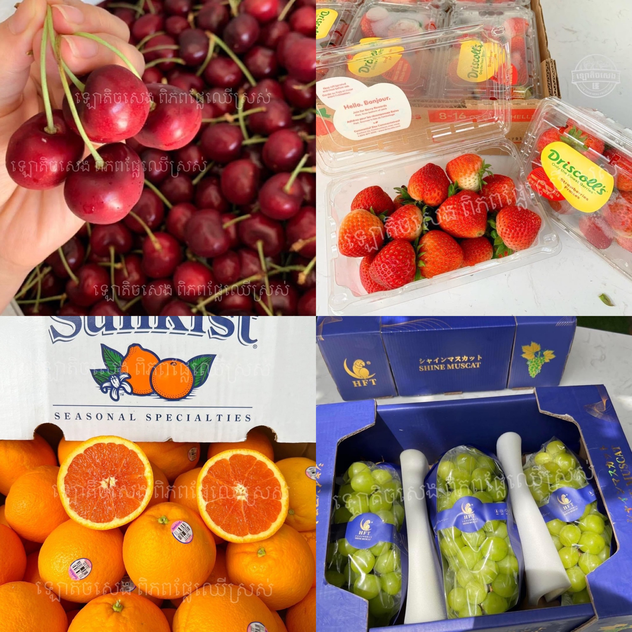 Lour Tech Seng Fruit Shop D02